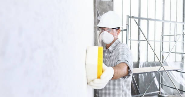 Best Biohazard Mold Removal  in Oakes, ND